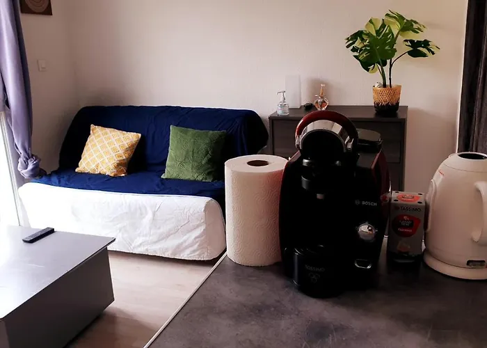 شقة Individuel - Le Musset & Parking Gratuit Devant L'immeuble غرونوبل