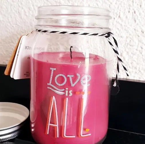 شقة Individuel - Le Musset & Parking Gratuit Devant L'immeuble غرونوبل